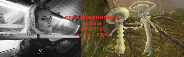 стаф Липки