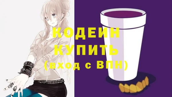 МДПВ Снежногорск
