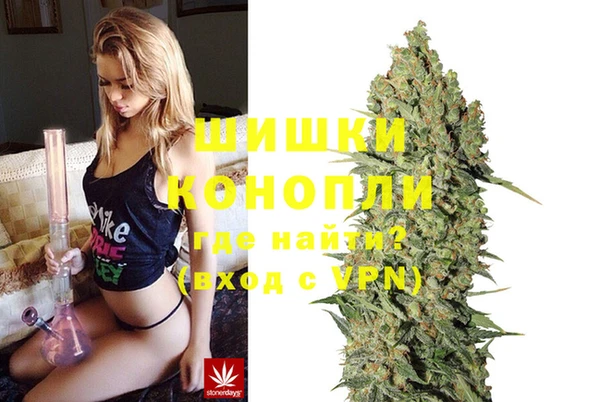 МДПВ Снежногорск