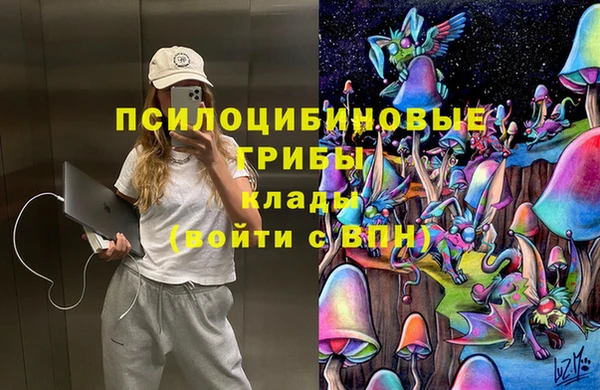 мдпв Слюдянка