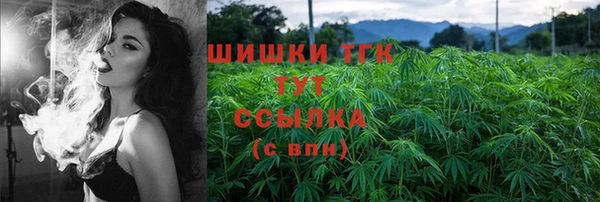 МДПВ Снежногорск