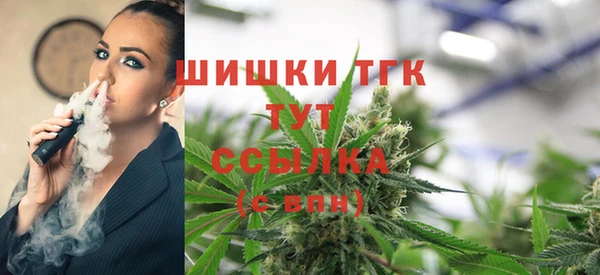 мдпв Слюдянка