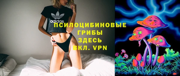 мдпв Слюдянка