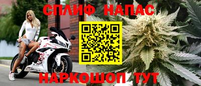 стафф Абинск
