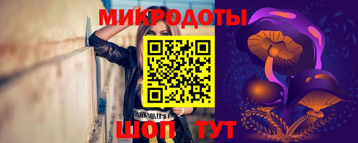 Псилоцибиновые грибы мицелий  купить закладку  Псилоцибиновые грибы мицелий  Абакан 