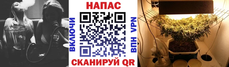 продажа наркотиков  Абакан  МАРИХУАНА марихуана 