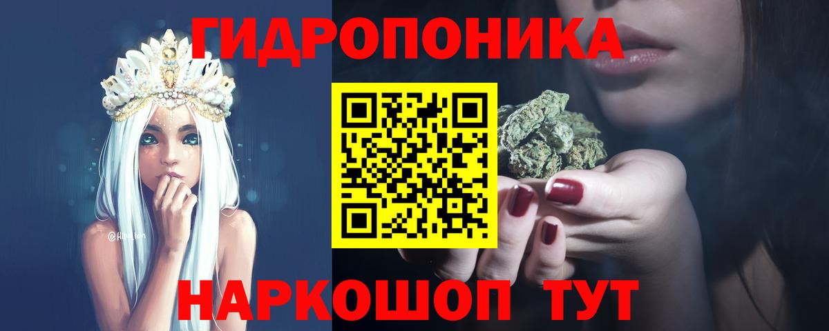 Бошки марихуана OG Kush Абакан